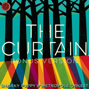 “The Curtain - Live From Dordrecht, Het Energiehuis / 2014 (Bonus Version)”的封面