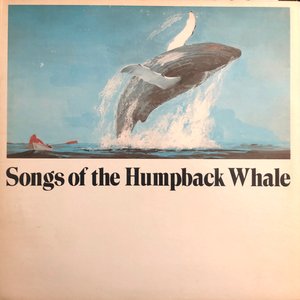 Image pour 'Songs of The Humpback Whale'