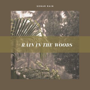 Image for 'Rain in the Woods'