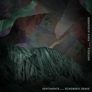 'Sentiments (Echoberyl Remix)' için resim