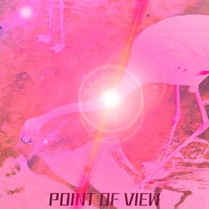 'POINT OF VIEW'の画像