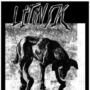 Image for 'Litovsk'