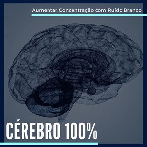 Immagine per 'Cérebro 100%: Aumentar Concentração e Memorizar Informações com Ruído Branco'
