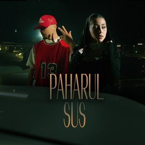 Image for 'Paharul sus'