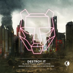 Image for 'Destroy It'