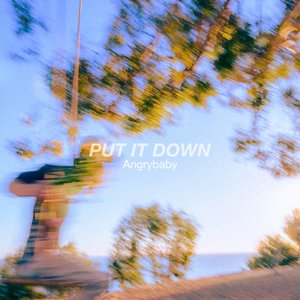 Image for 'PUT IT DOWN'