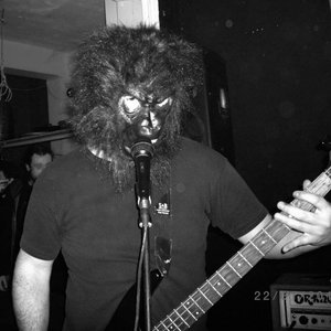 “Raw Noise Apes”的封面