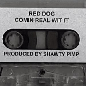 'Comin Real Wit It'の画像