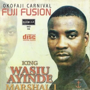 Image for 'Okofaji Carnival Fuji Fusion'