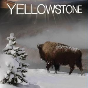Imagem de 'Yellowstone'