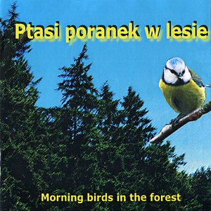 Image for 'Morning birds in the forest'