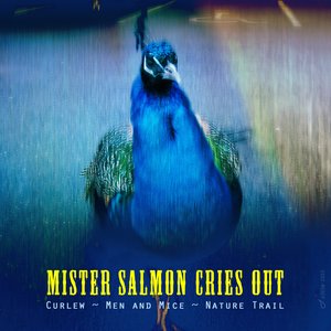 'Mister Salmon Cries Out'の画像