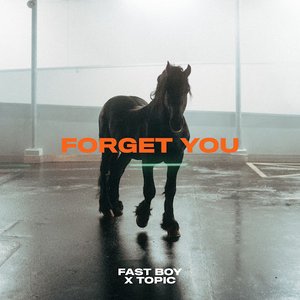 Image for 'Forget You'