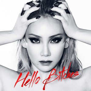 Image for 'Hello Bitches'
