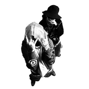Image for 'trap zone'