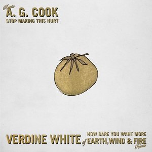 Image for 'Stop Making This Hurt (A. G. Cook Remix) / How Dare You Want More (Verdine White of Earth, Wind & Fire Remix)'