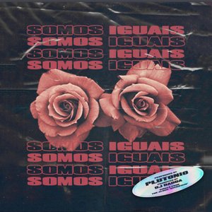 Imagem de 'Somos Iguais'