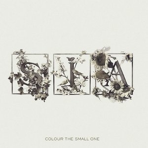 Image for 'Colour the Small One'