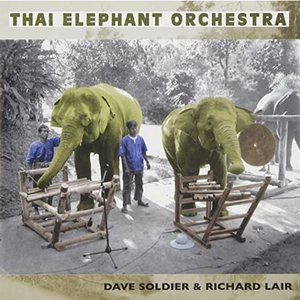 “The Thai Elephant Orchestra”的封面