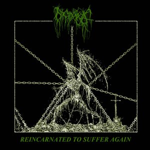 Image for 'Reincarnated to Suffer Again'