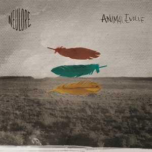 “Animal Evolve”的封面