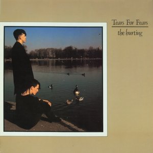 Image for 'The Hurting (B-sides and Remixes)'