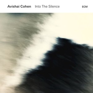 Image pour 'Into the Silence'