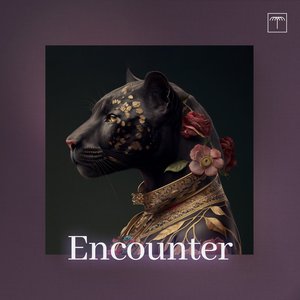 Image for 'Encounter'