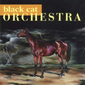 Image for 'Black Cat Orchestra'
