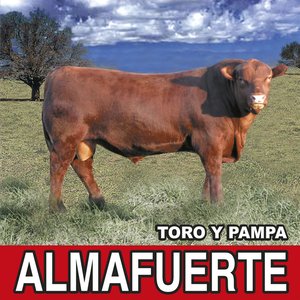 Bild für 'Toro y Pampa (Remasterizado 2021)'