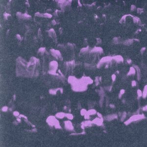 Image for 'Night Like This'