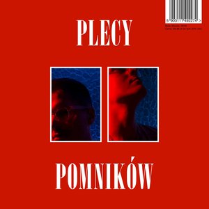 “Plecy pomników”的封面