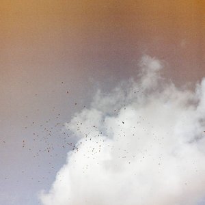 Image for 'Collaborations III'