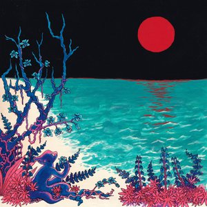 Bild für 'the first glass beach album'