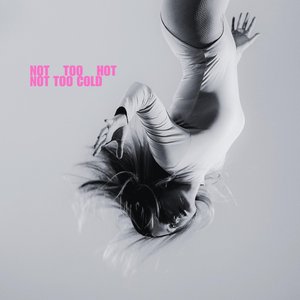 Immagine per 'Not Too Hot, Not Too Cold'