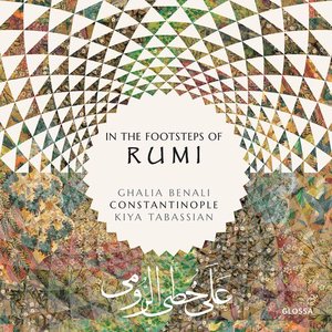 Bild för 'In the Footsteps of Rumi'