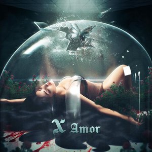 Image for 'X Amor'