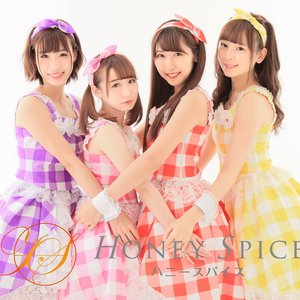 Image for 'ハニースパイス'