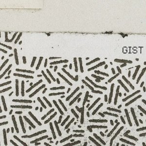 “Gist”的封面