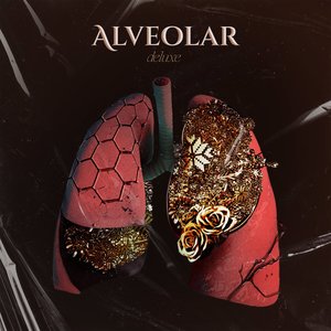 Image for 'Alveolar (Deluxe)'