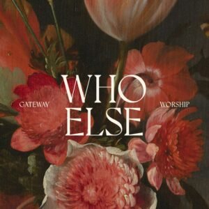 “Who Else (Live)”的封面