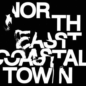 “North East Coastal Town”的封面