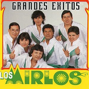 Image for 'Grandes Éxitos'