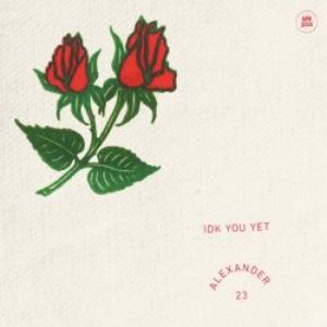 “IDK You Yet - Single”的封面