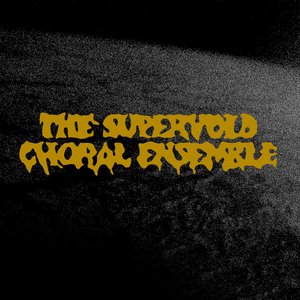 Image for 'The Supervoid Choral Ensemble'