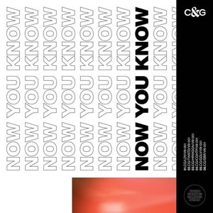 Image pour 'Now You Know'