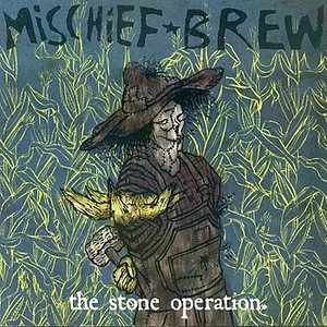 “The Stone Operation”的封面