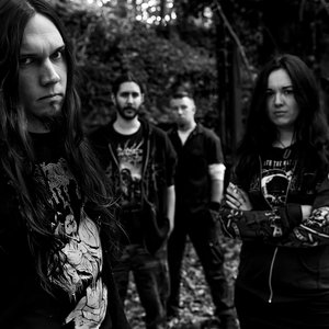 “Splice”的封面