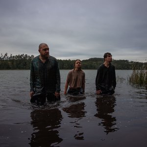 “Wodorost”的封面