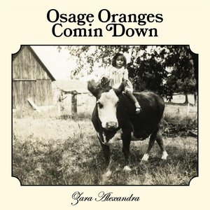 Image for 'Osage Oranges Comin Down'